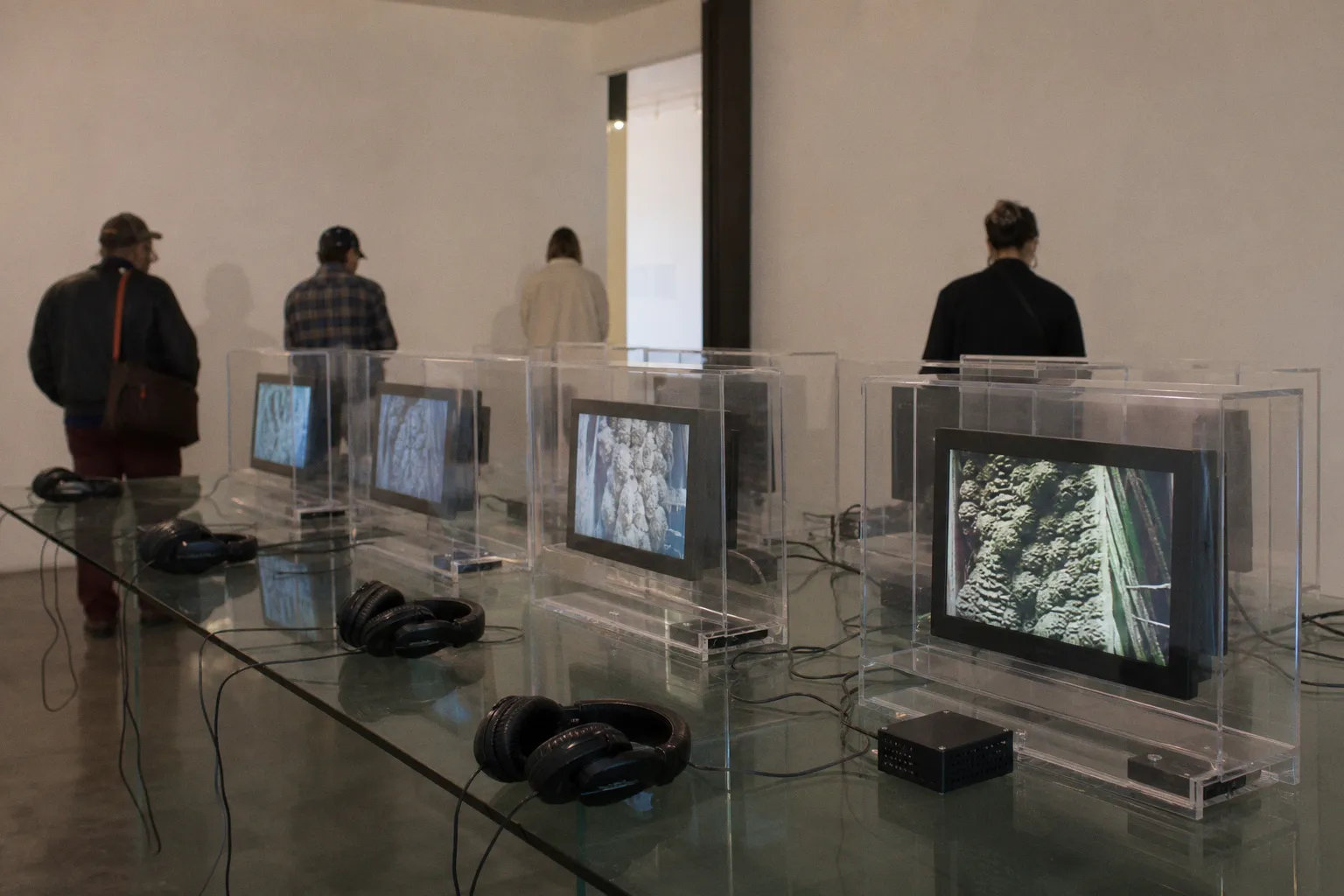 CIFRA Launches Artistic Vision Council to Shape Curatorial Direction and Strategic Development